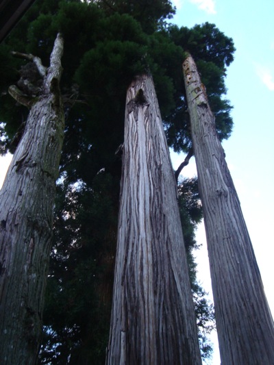 早朝の小国両神社_c0052304_5573339.jpg