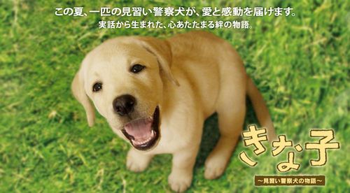 見習い警察犬の物語　き　な　子_a0125705_8542411.jpg