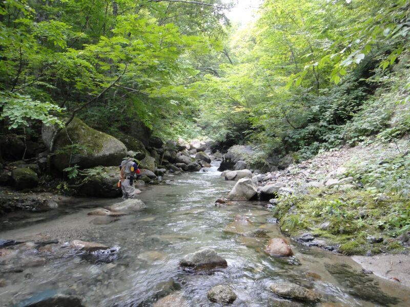 b0172805_7161981.jpg