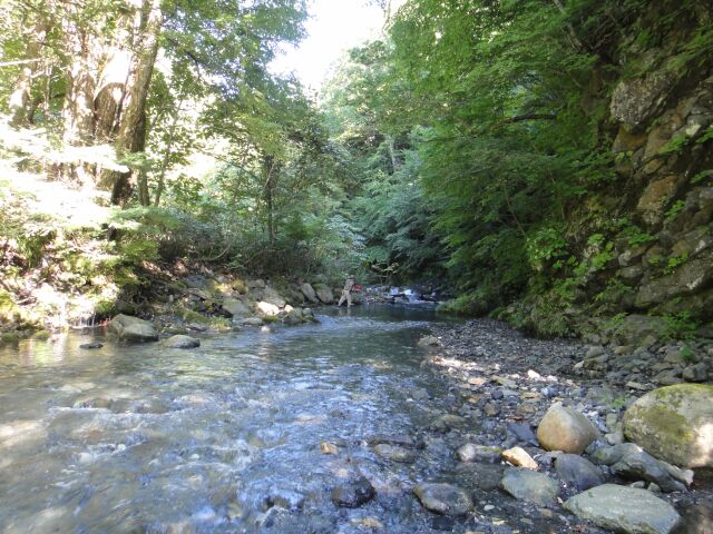 b0172805_735662.jpg