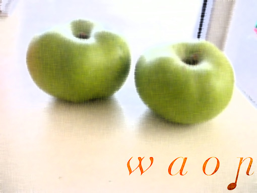 c0175005_0171927.jpg