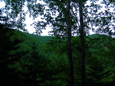 a0036808_92754.jpg