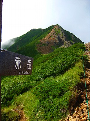 a0036808_9373326.jpg