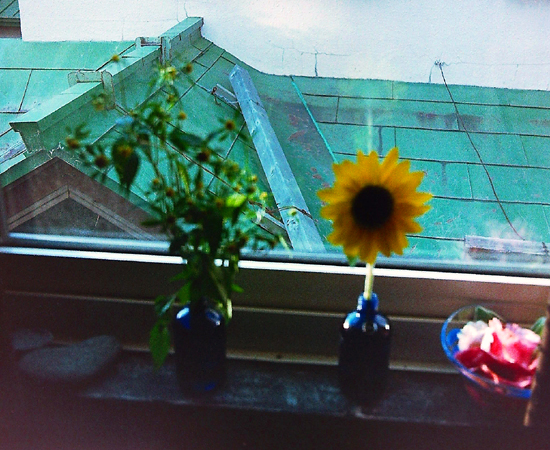 c0170208_7555210.jpg