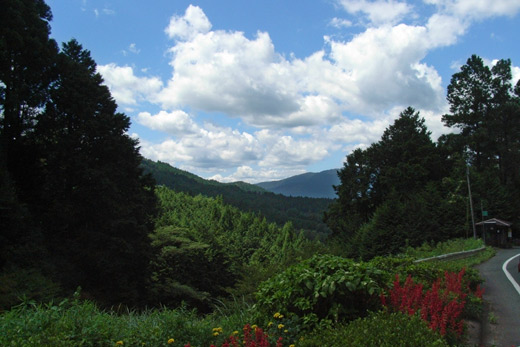 e0066210_22331983.jpg
