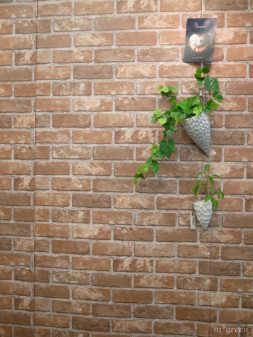 e0171120_15104772.jpg