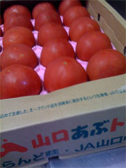 f0148320_17342479.jpg