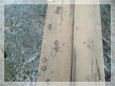 f0182121_10233852.jpg