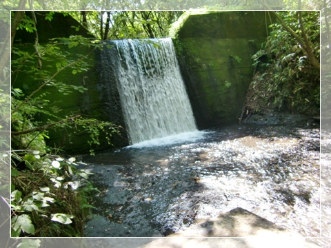 f0182121_10474114.jpg