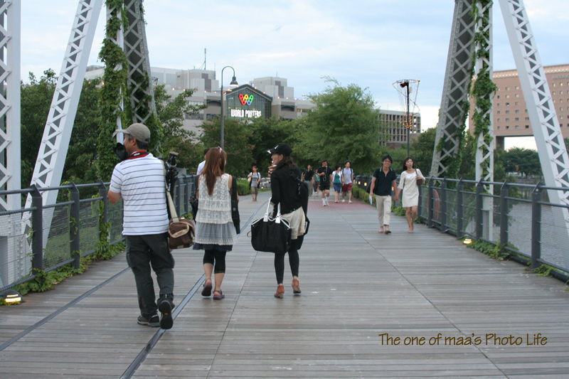 d0040124_1123150.jpg