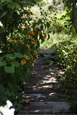 f0170524_1151668.jpg