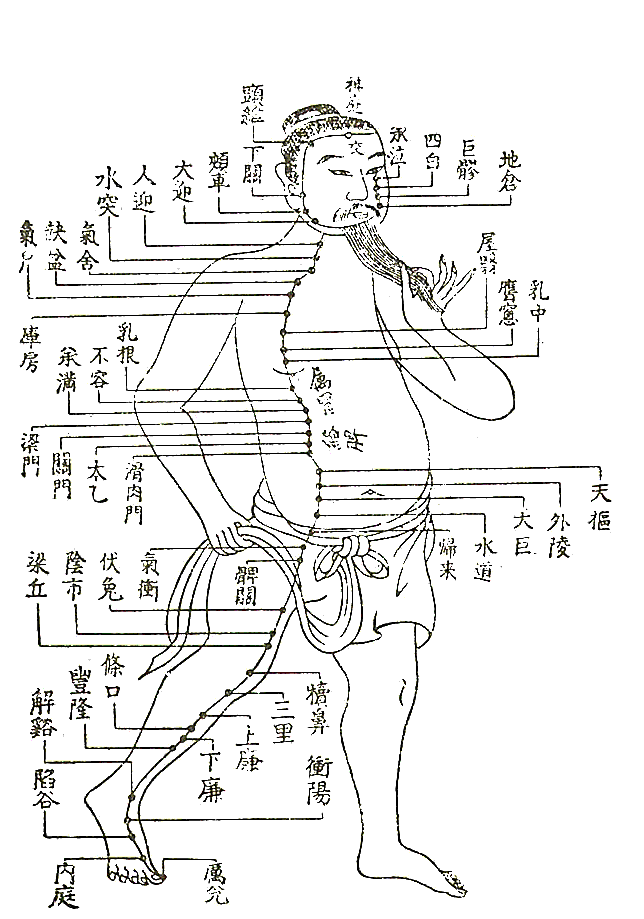 整骨院のGM(General Medicine)_a0070928_1336249.gif