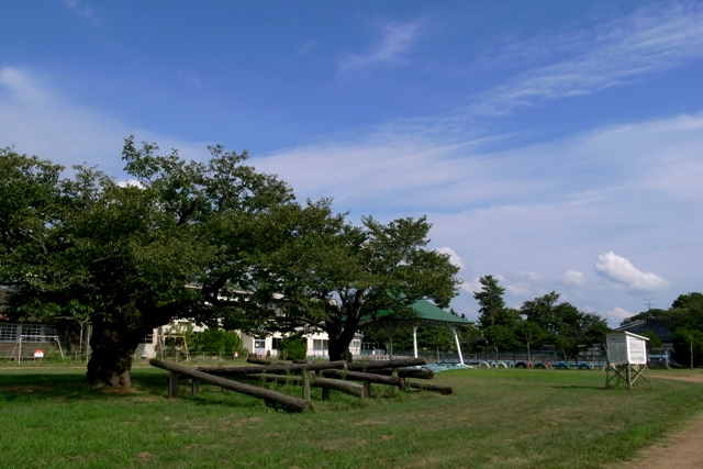 c0207233_11104790.jpg