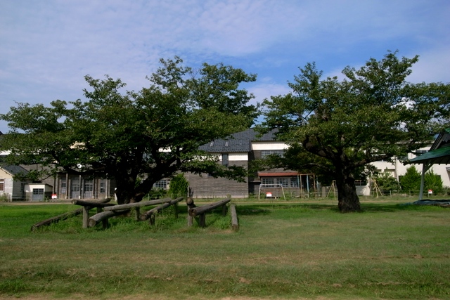 c0207233_11122240.jpg