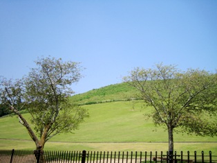 c0118235_23392051.jpg