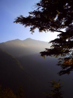 b0154940_16477.jpg