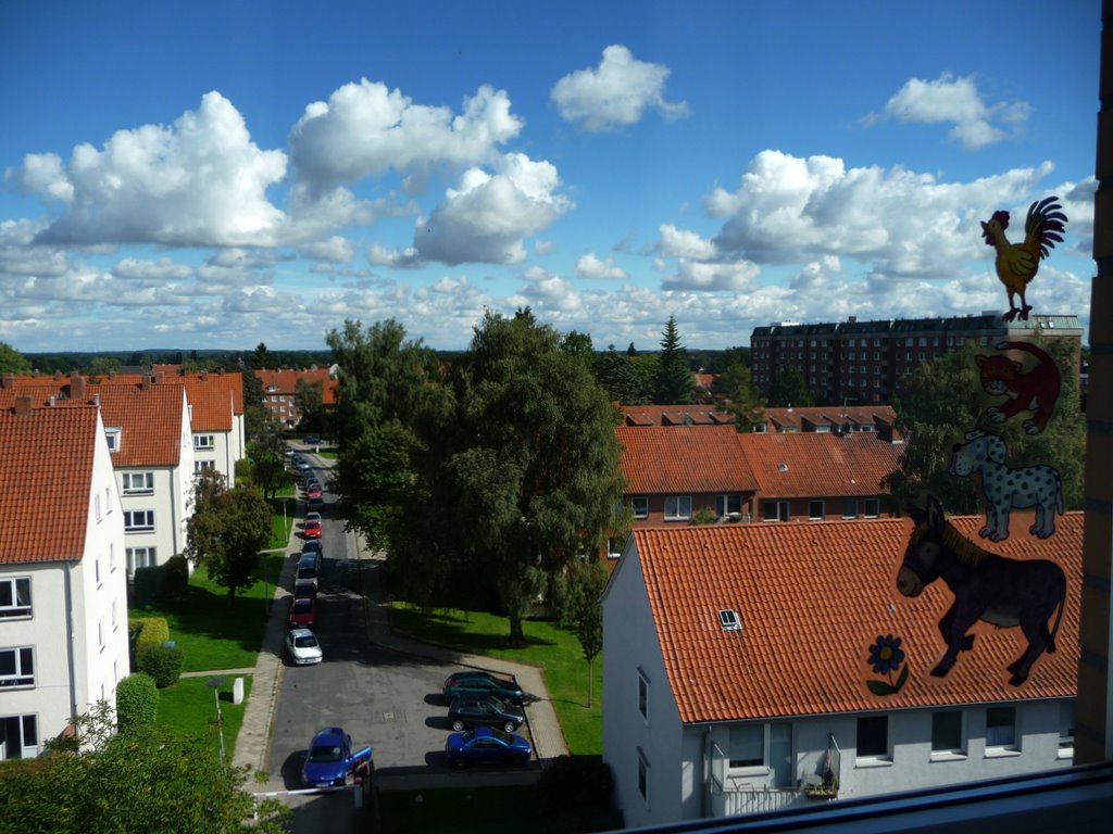 f0210340_21392176.jpg