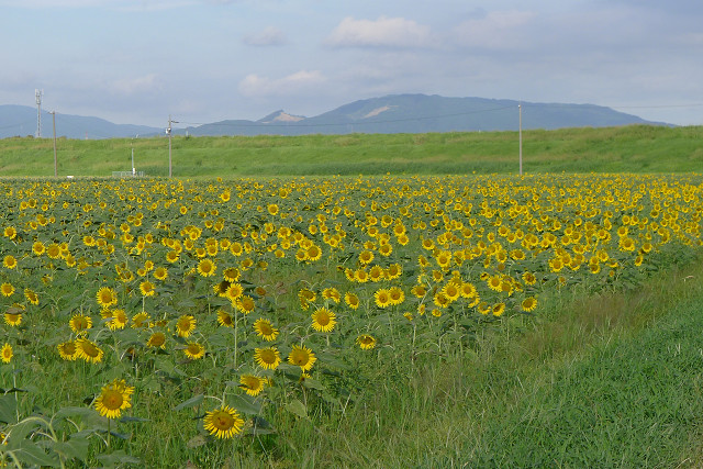 b0088444_20505099.jpg