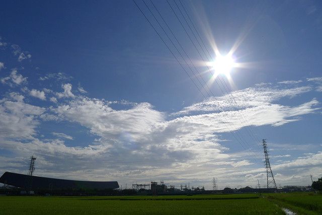 b0088444_20545493.jpg