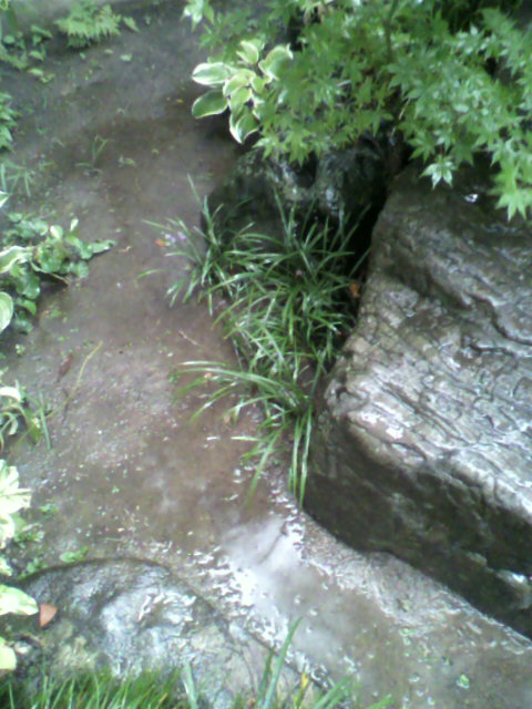 a0111545_23575969.jpg