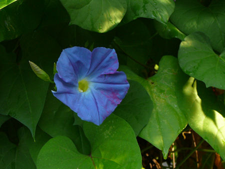 b0002549_10141810.jpg