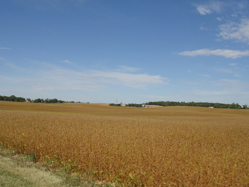 b0191749_11204866.jpg