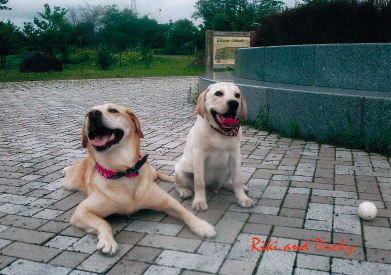 b0198051_22271977.gif