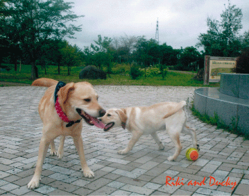 b0198051_22275023.gif