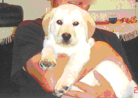 b0198051_2313427.gif