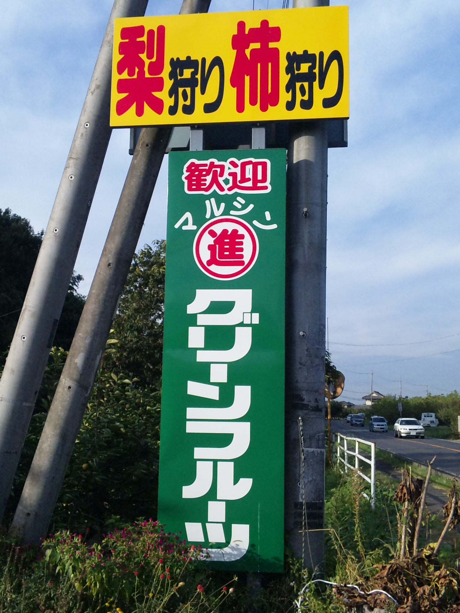 千代田の梨_d0091552_20351048.jpg