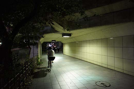 e0050753_23282330.jpg