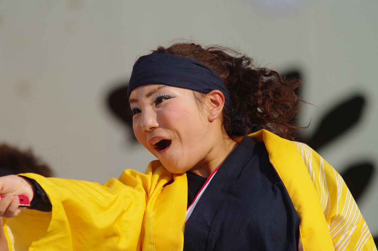 高知よさこい２０１０全国大会　その２５（兵庫えぇもんひろめ隊）_a0009554_2246434.jpg