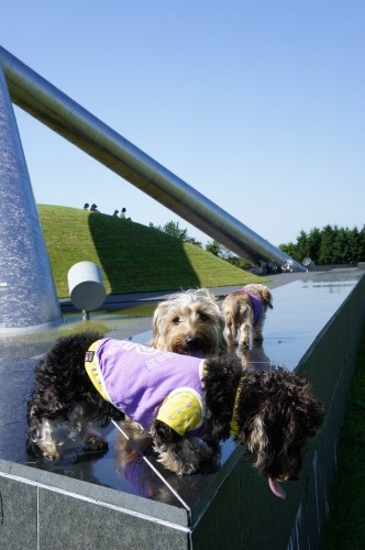 wans交流 in モエレ沼公園 ～ おばかちゃん_c0212355_23345446.jpg