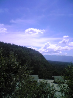 d0109356_8383335.jpg