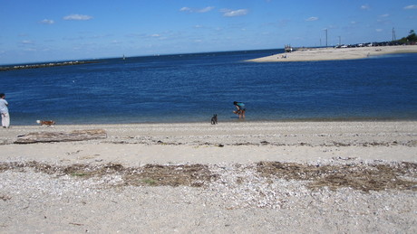 c0055857_11232224.jpg