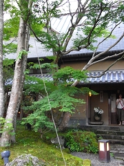 f0147759_1428302.jpg