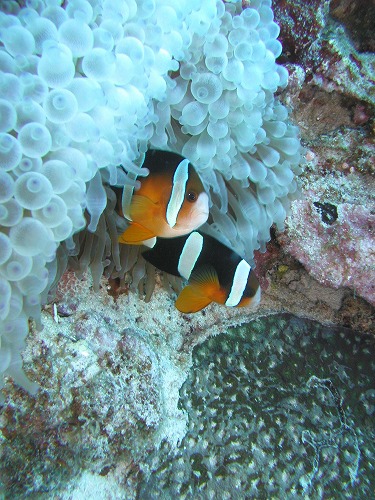 c0180460_23111241.jpg