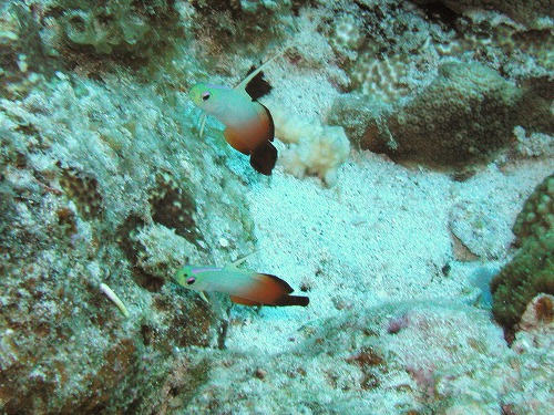 c0180460_23113799.jpg