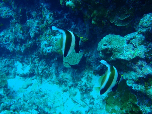 c0180460_2392873.jpg