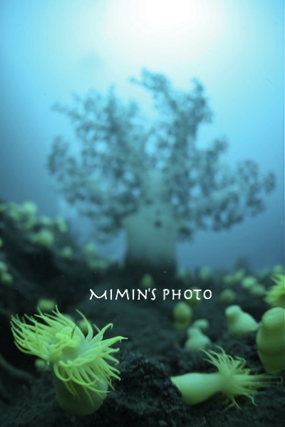 2010.09.05 Sun. みなべ・田辺_e0158261_1053139.jpg