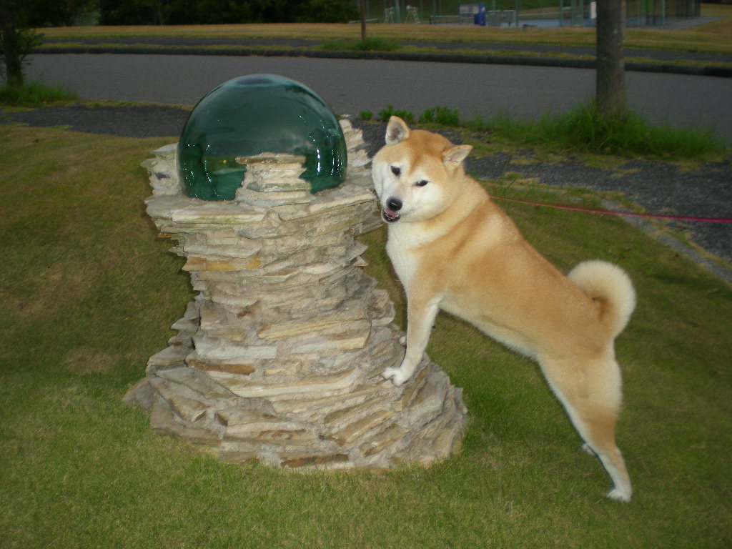 2010年9月7日(火)占い師愛ちゃん!_f0060461_8474360.jpg