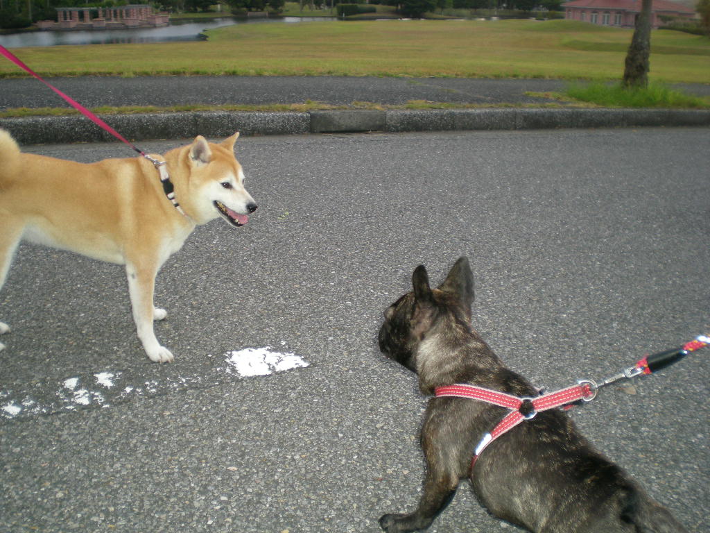 2010年9月7日(火)占い師愛ちゃん!_f0060461_8511918.jpg