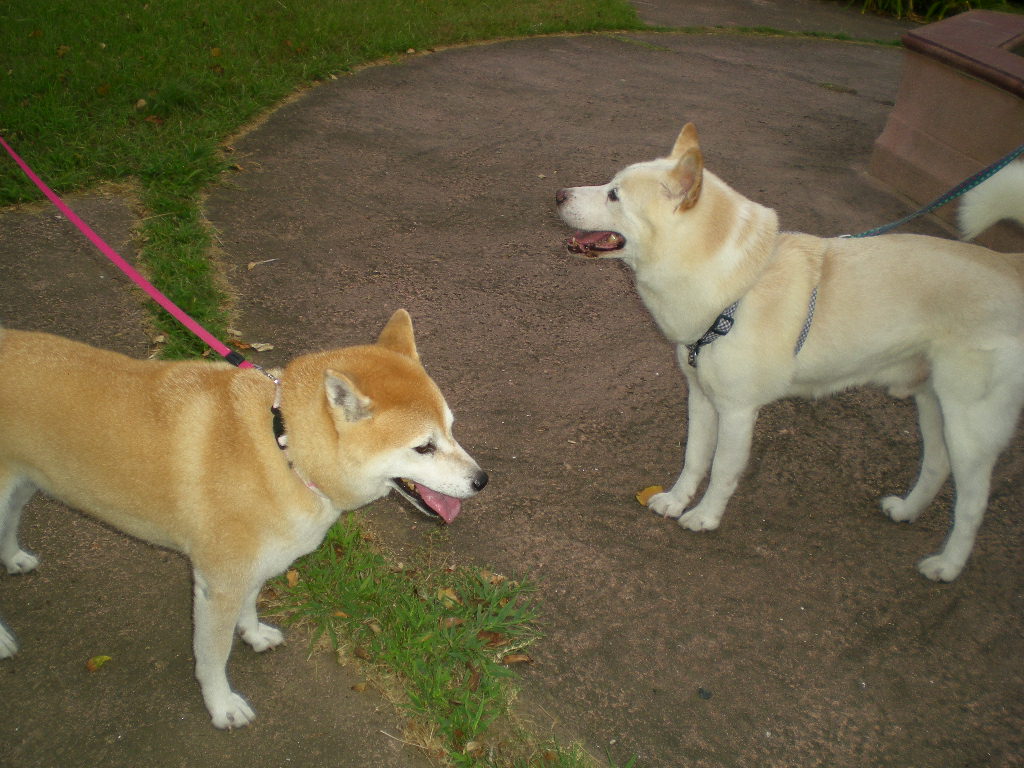 2010年9月7日(火)占い師愛ちゃん!_f0060461_852719.jpg