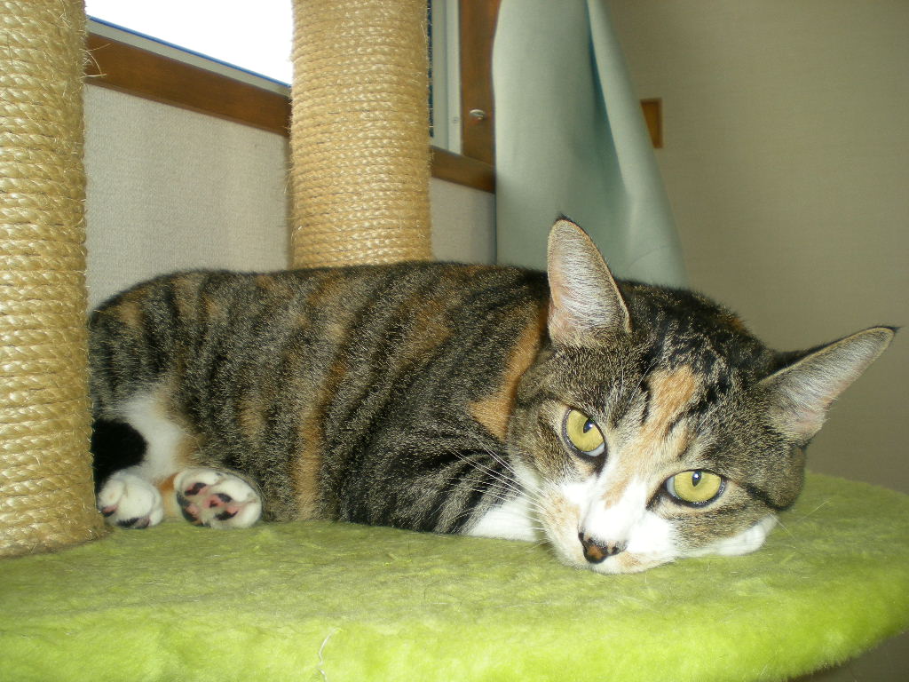 2010年9月7日(火)占い師愛ちゃん!_f0060461_8541884.jpg