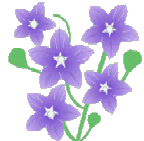a0063364_22143382.gif