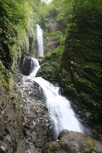 f0072976_1420388.jpg