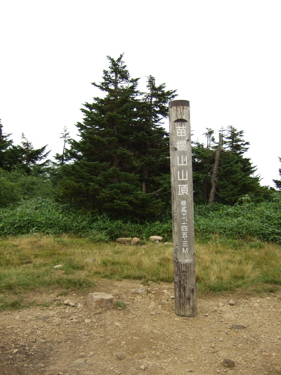 a0094280_21382078.jpg