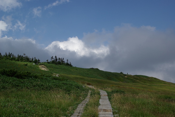 a0094280_2139211.jpg