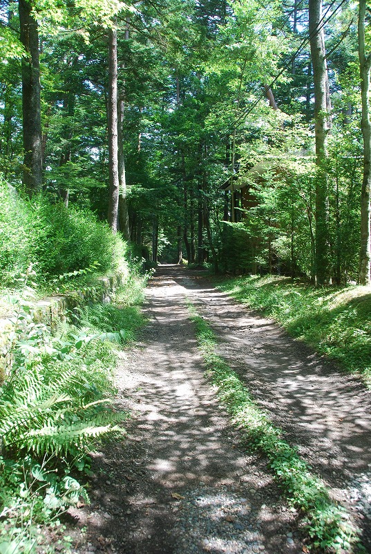 c0187781_12119.jpg