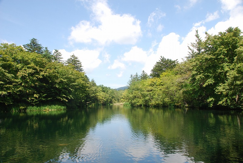 晩夏の軽井沢①_c0187781_1282217.jpg